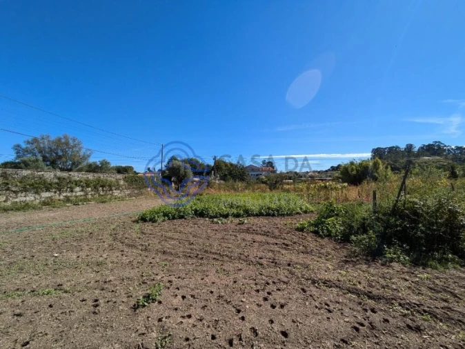 Terreno para Venda em São Miguel do Outeiro e Sabugosa Foto 4