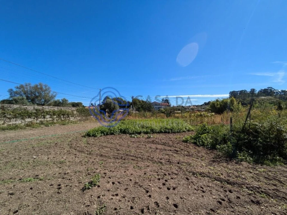 Terreno para Venda em São Miguel do Outeiro e Sabugosa Foto 4