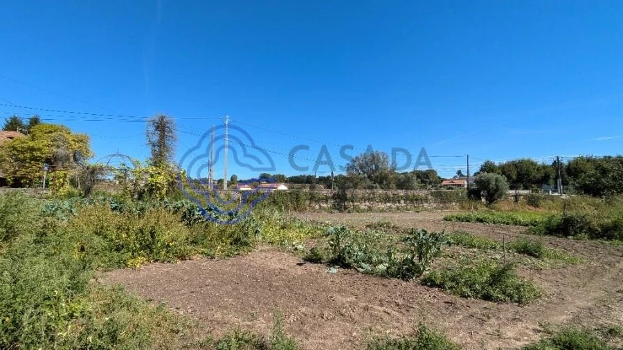 Terreno para Venda em São Miguel do Outeiro e Sabugosa