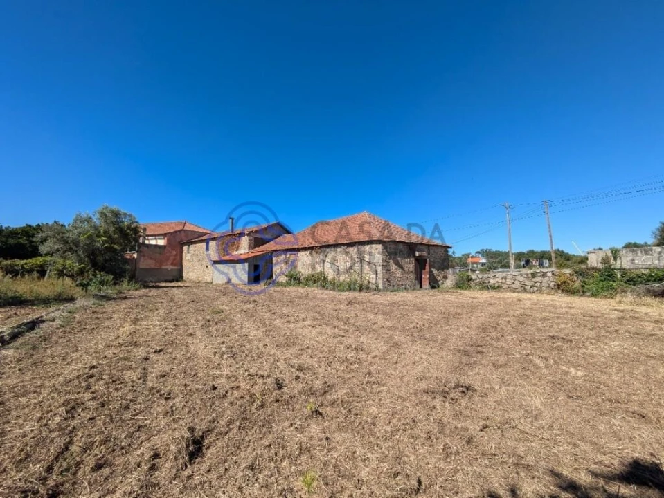 Negócio para Venda em São Miguel do Outeiro e Sabugosa Foto 8