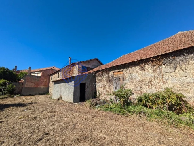 Negócio para Venda em São Miguel do Outeiro e Sabugosa Foto 9