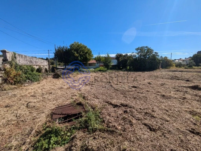 Negócio para Venda em São Miguel do Outeiro e Sabugosa Foto 7
