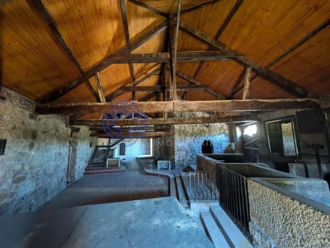 Negócio para Venda em São Miguel do Outeiro e Sabugosa Foto 20