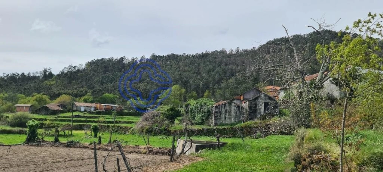 Moradia T2 para Venda em Couto de Esteves Foto 12