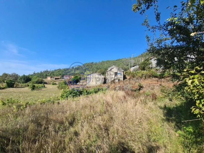 Moradia T2 para Venda em Couto de Esteves Foto 21