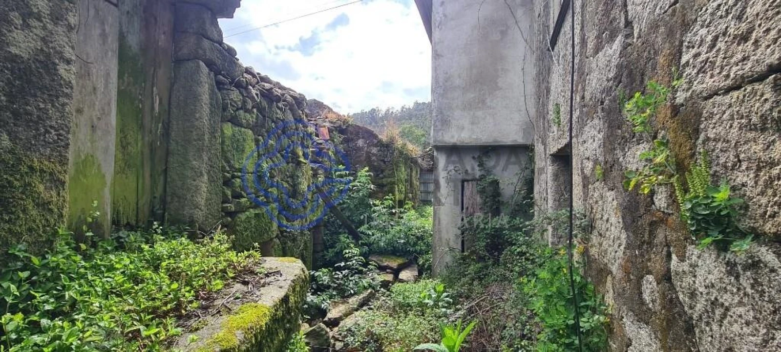 Moradia T2 para Venda em Couto de Esteves Foto 11