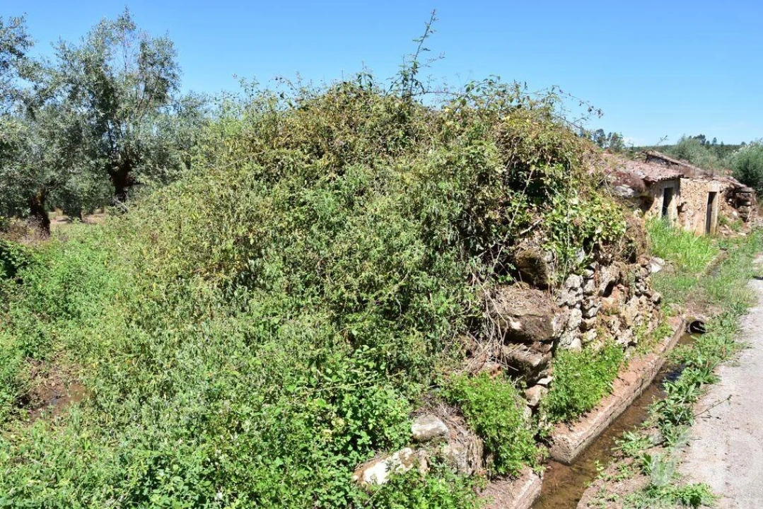 Moradia T1 para Venda em Nossa Senhora do Pranto Foto 7