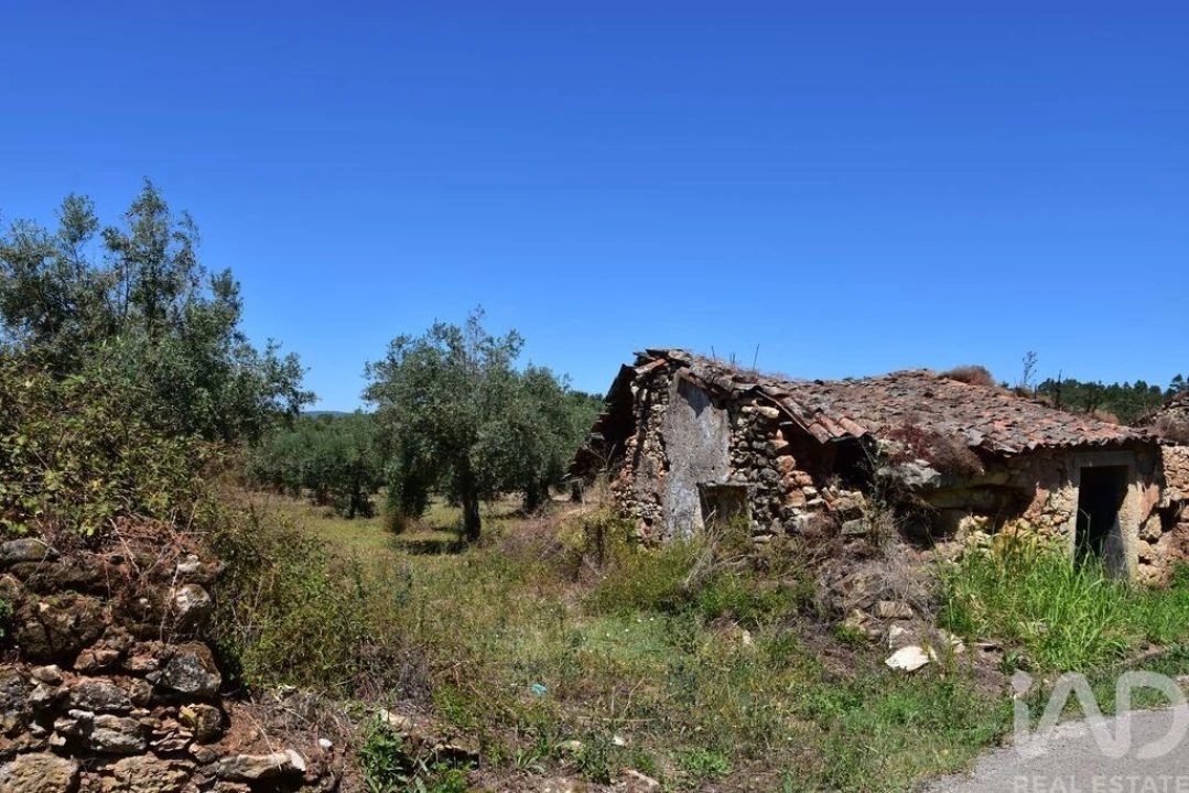 Moradia T1 para Venda em Nossa Senhora do Pranto Foto 5