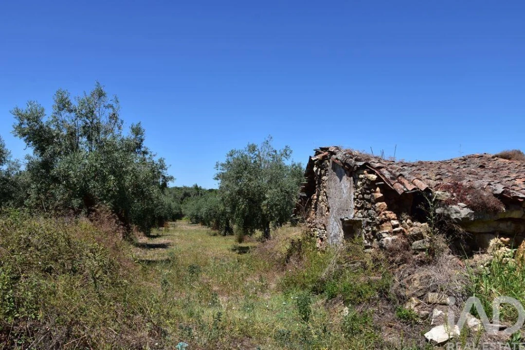 Moradia T1 para Venda em Nossa Senhora do Pranto Foto 6