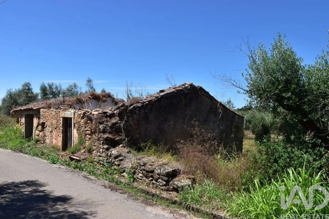Moradia T1 para Venda em Nossa Senhora do Pranto Foto 3