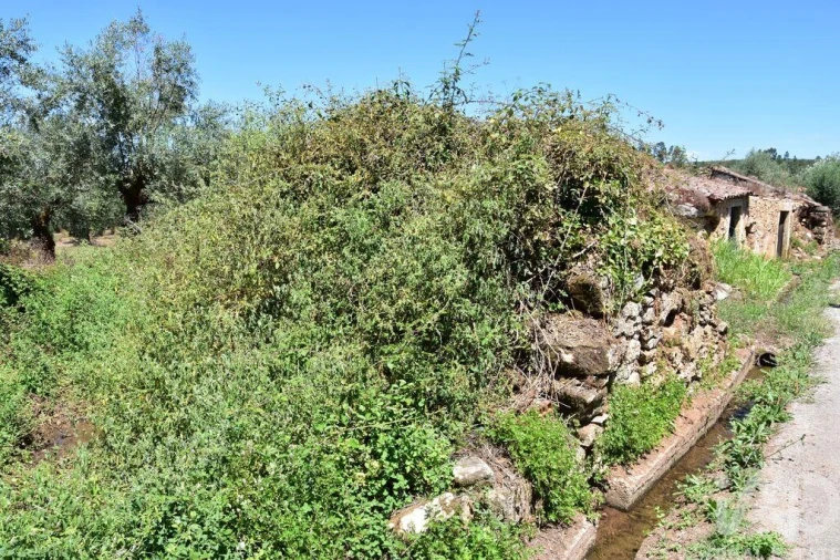 Moradia T1 para Venda em Nossa Senhora do Pranto Foto 7