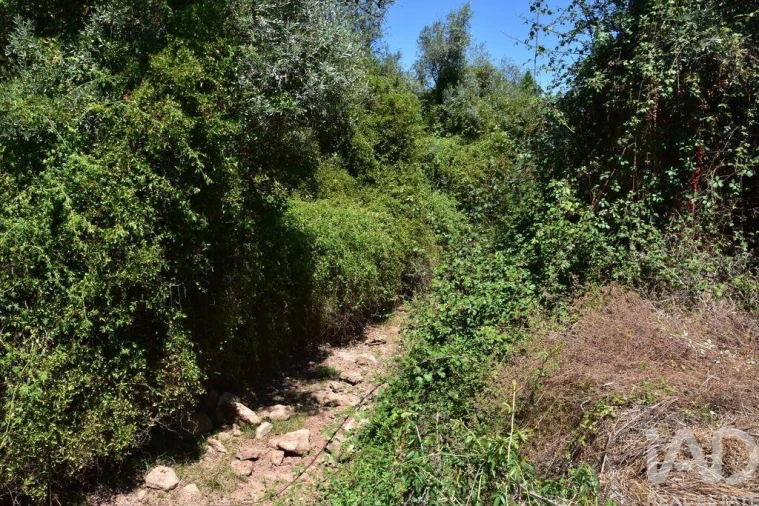 Moradia T1 para Venda em Nossa Senhora do Pranto Foto 15