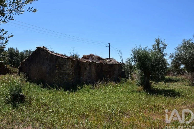 Moradia T1 para Venda em Nossa Senhora do Pranto Foto 9