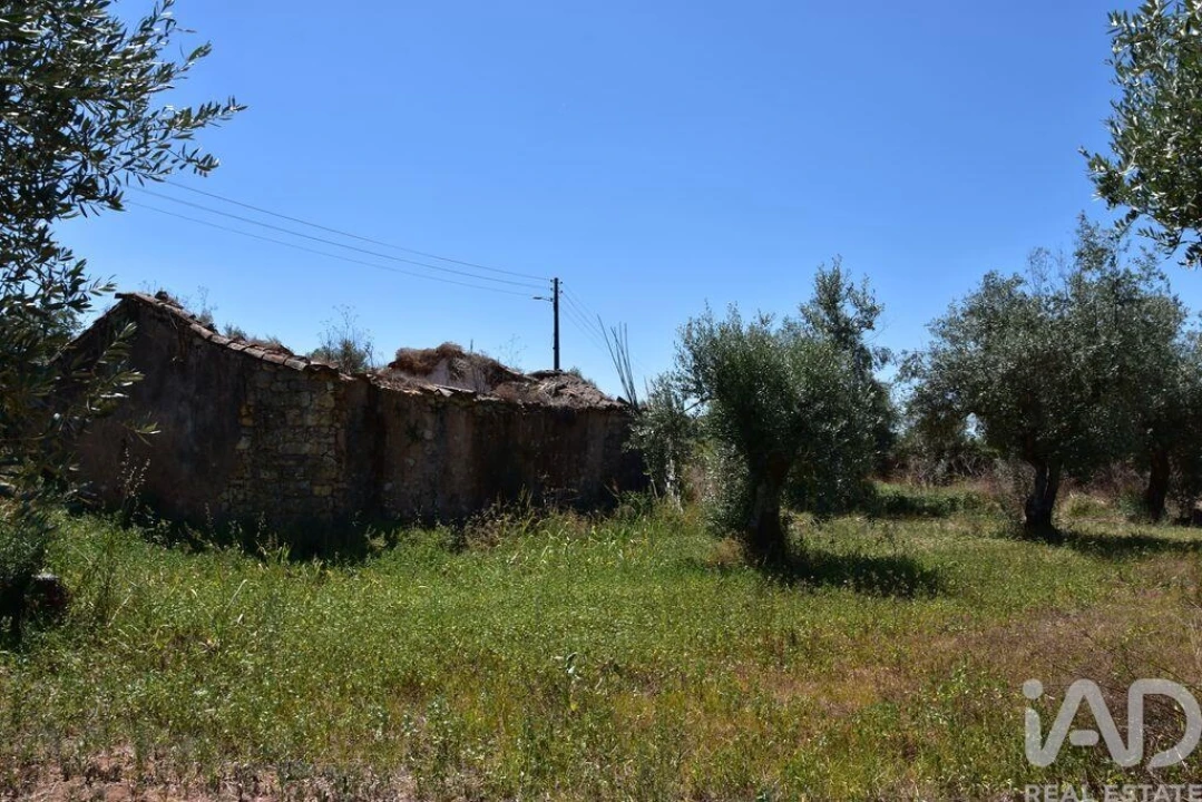 Moradia T1 para Venda em Nossa Senhora do Pranto Foto 10