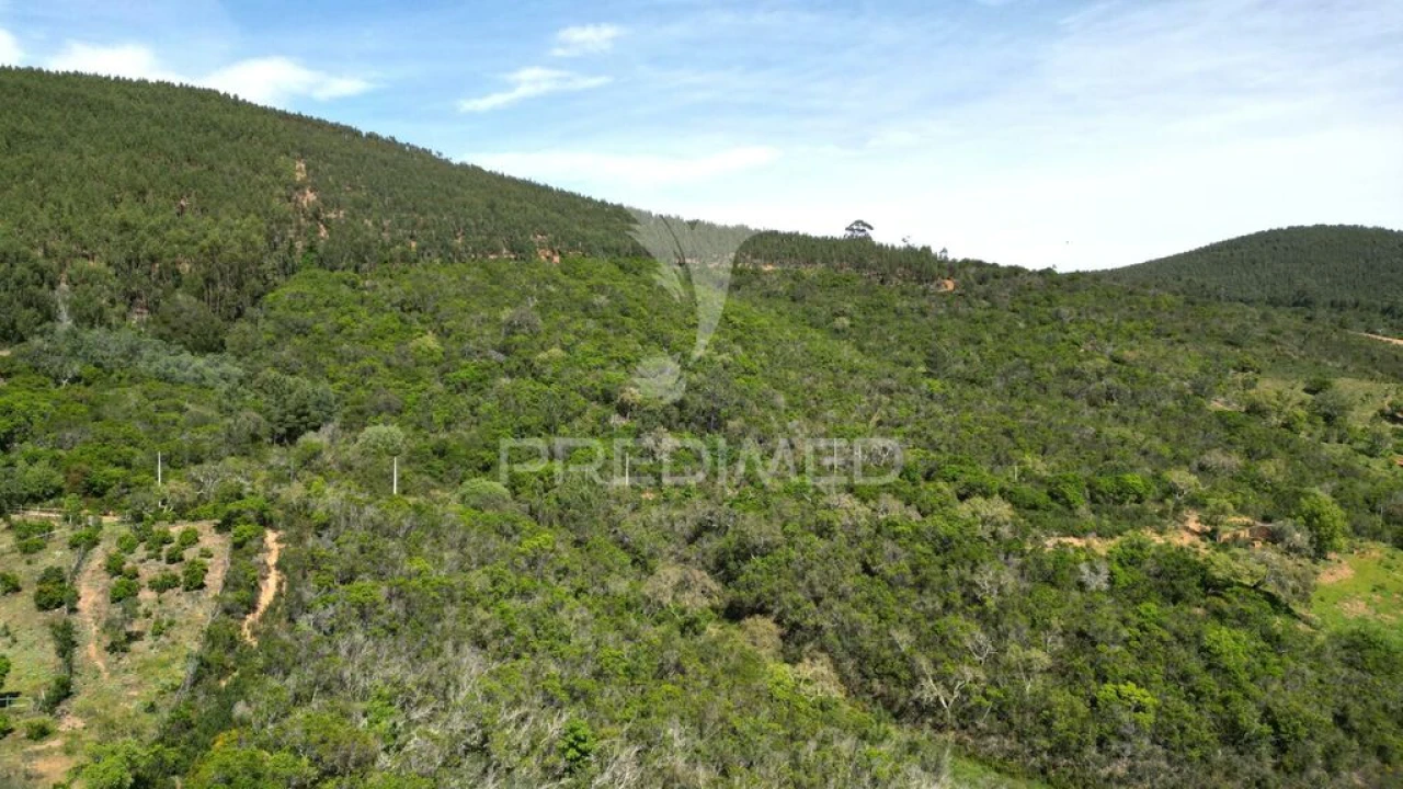 Quinta para Venda em São Teotónio Foto 18