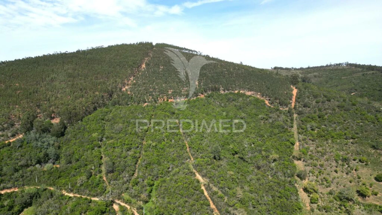 Quinta para Venda em São Teotónio Foto 17
