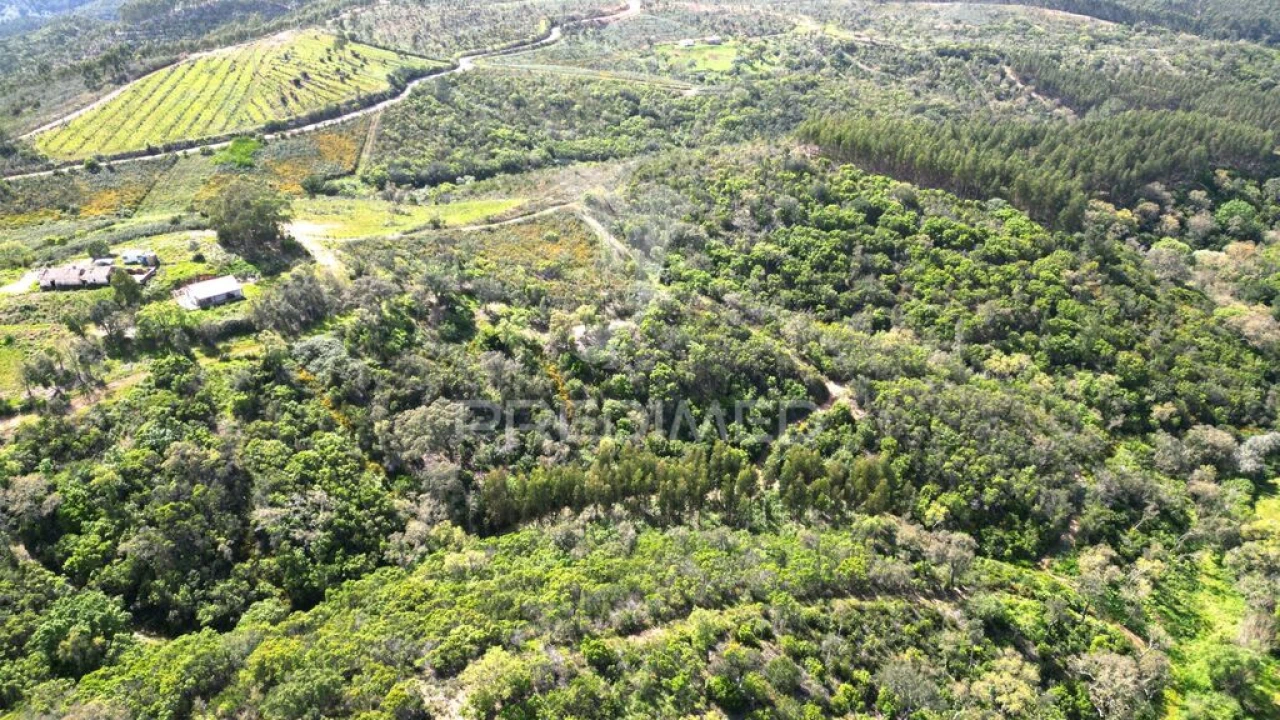 Quinta para Venda em São Teotónio Foto 19