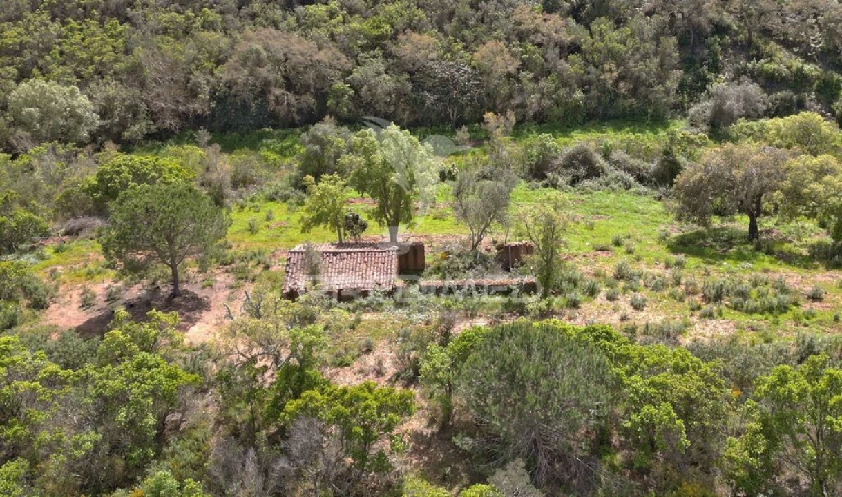 Quinta para Venda em São Teotónio Foto 5