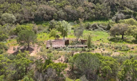 Quinta para Venda em São Teotónio