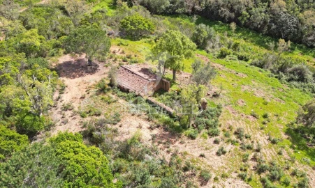 Quinta para Venda em São Teotónio