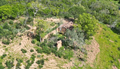 Quinta para Venda em São Teotónio