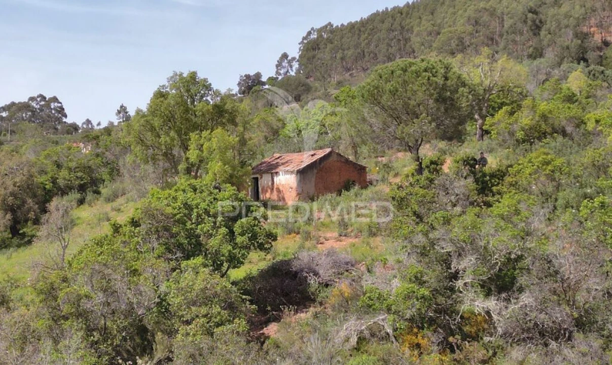 Quinta para Venda em São Teotónio Foto 1