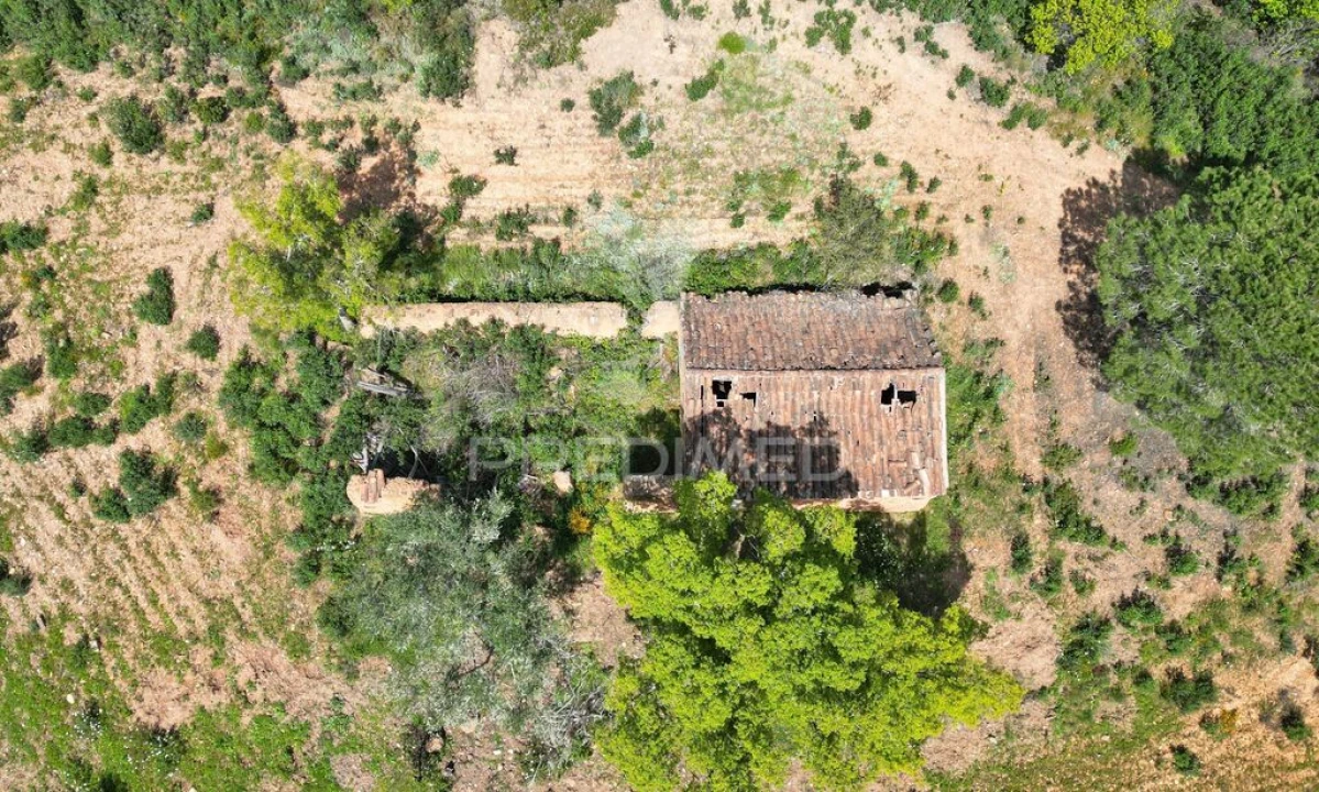 Quinta para Venda em São Teotónio Foto 12