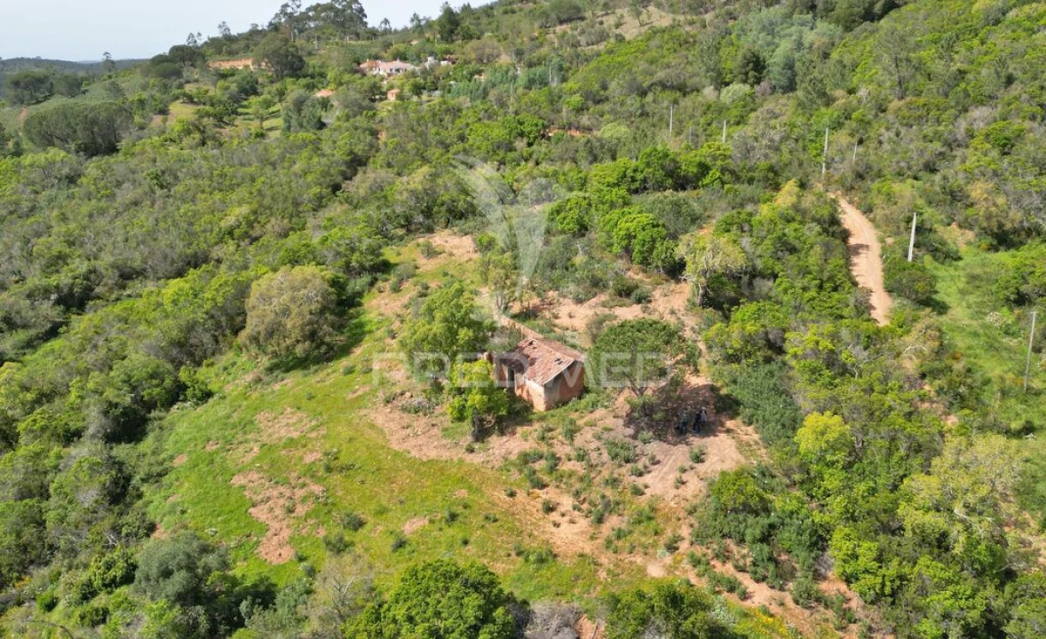 Quinta para Venda em São Teotónio Foto 6