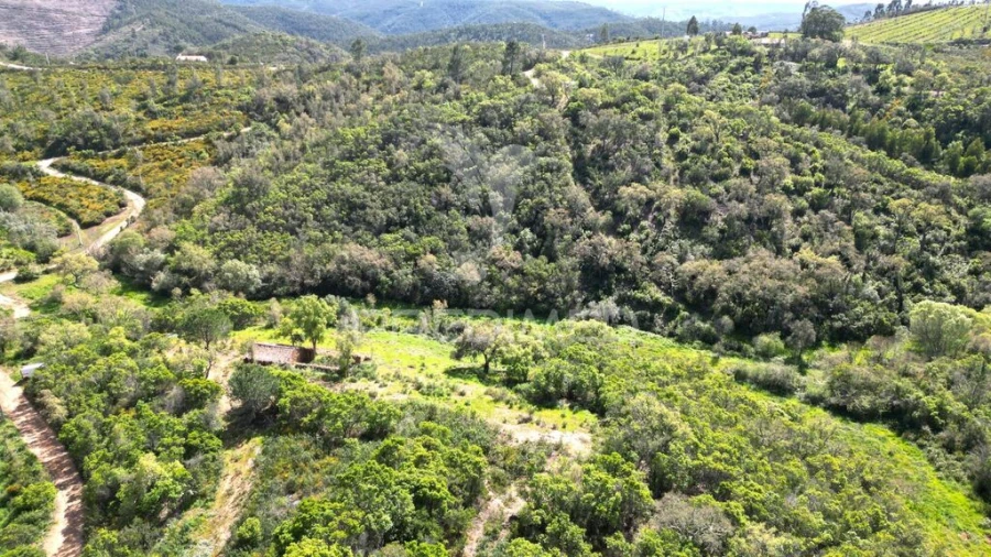Quinta para Venda em São Teotónio Foto 10