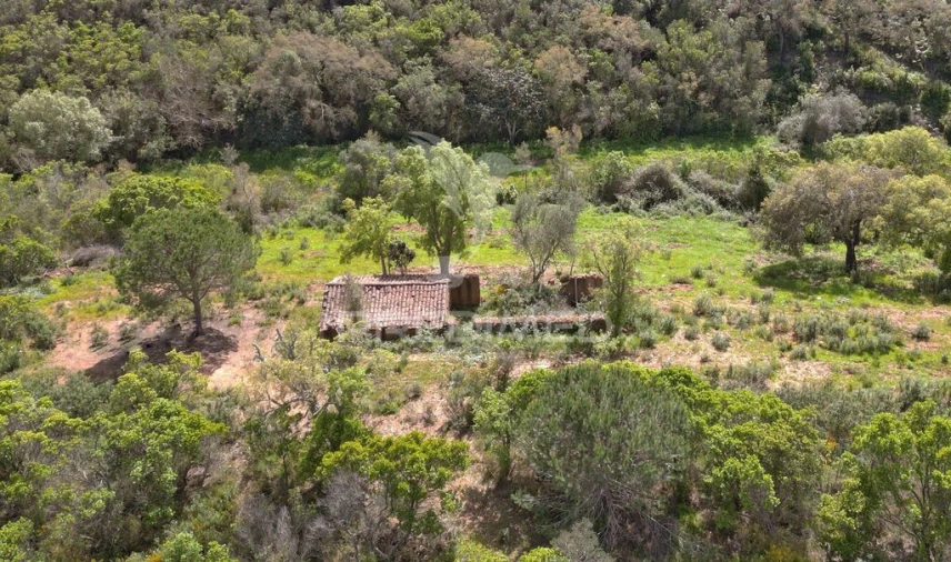 Quinta para Venda em São Teotónio Foto 5