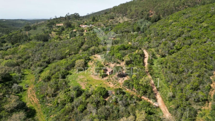 Quinta para Venda em São Teotónio Foto 4