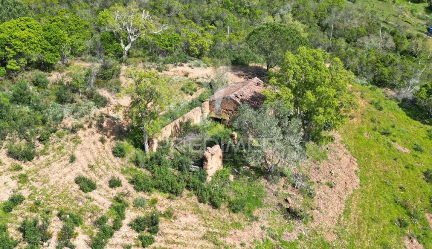 Quinta para Venda em São Teotónio Foto 4