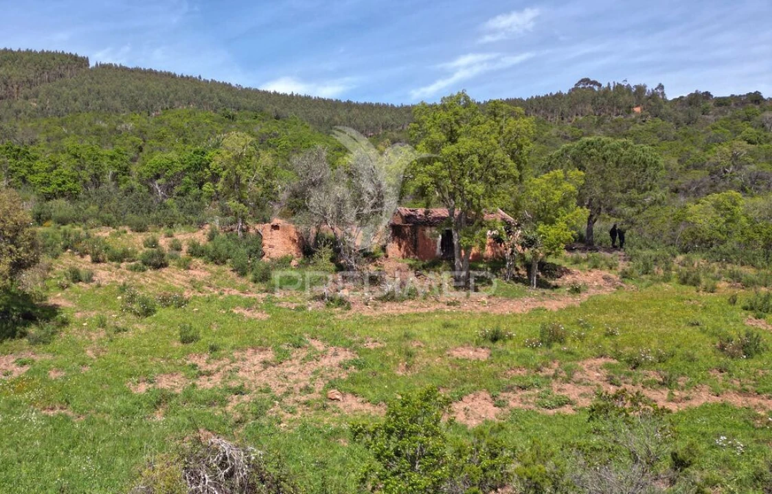 Quinta para Venda em São Teotónio Foto 3