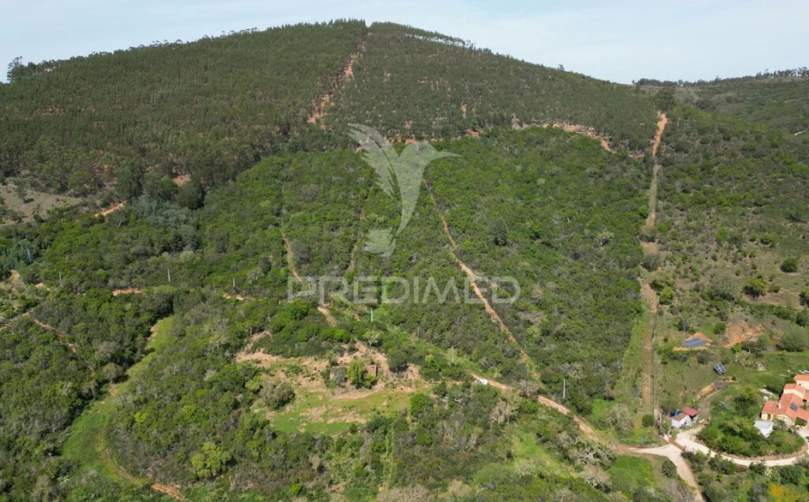 Quinta para Venda em São Teotónio Foto 16