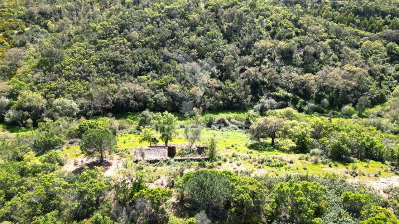 Quinta para Venda em São Teotónio Foto 9