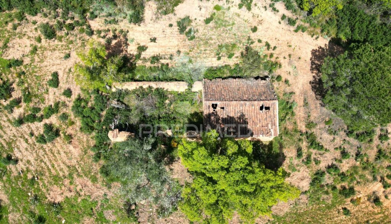 Quinta para Venda em São Teotónio Foto 8