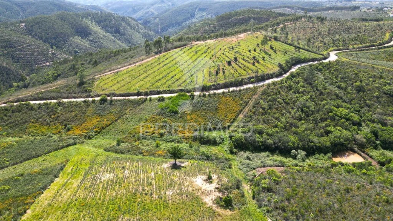 Quinta para Venda em São Teotónio Foto 20