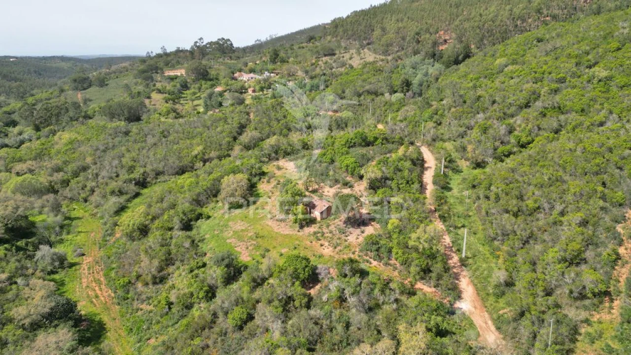 Quinta para Venda em São Teotónio Foto 7