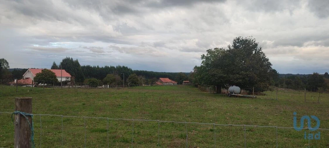 Terreno para Venda em Peva e Segões Foto 4