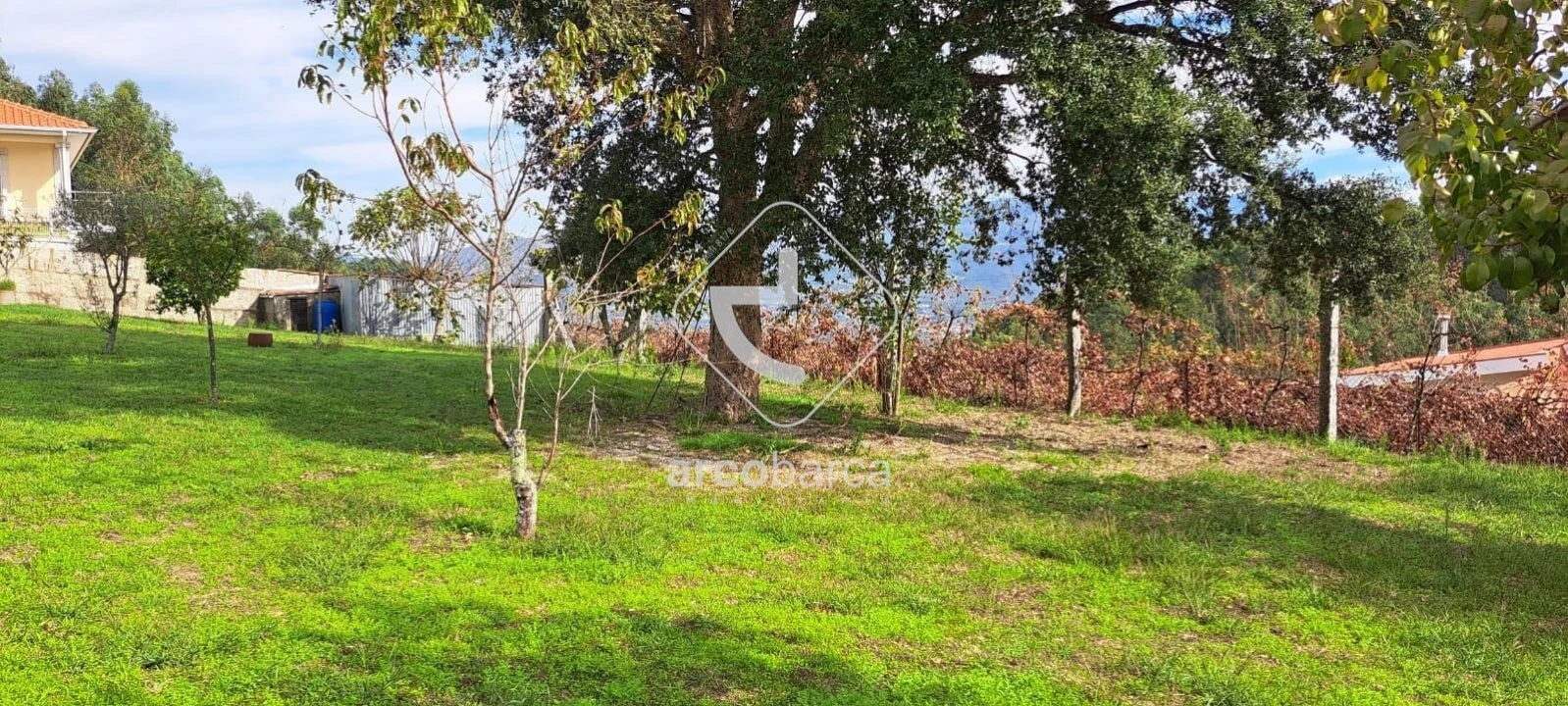 Terreno para Venda em São Jorge e Ermelo Foto 10