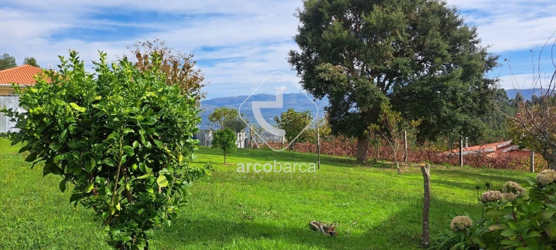 Terreno para Venda em São Jorge e Ermelo Foto 3