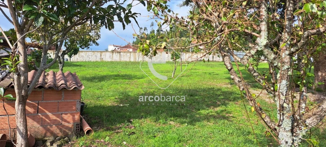 Terreno para Venda em São Jorge e Ermelo Foto 4