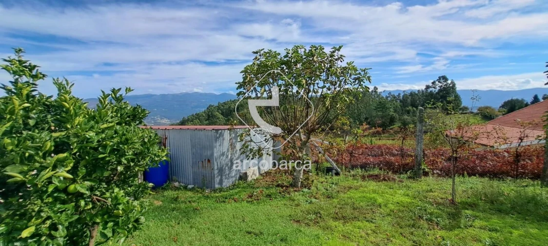 Terreno para Venda em São Jorge e Ermelo Foto 13