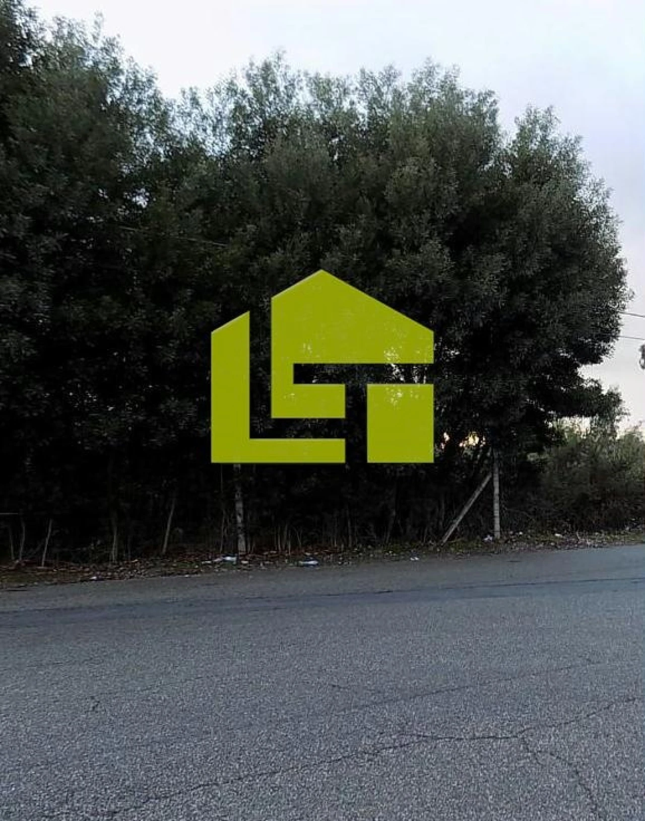 Terreno para Venda em Rio Meão Foto 4