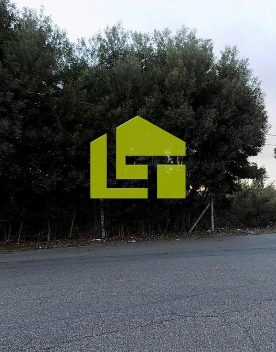 Terreno para Venda em Rio Meão Foto 4