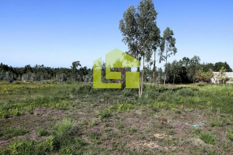 Terreno para Venda em Rio Meão Foto 2