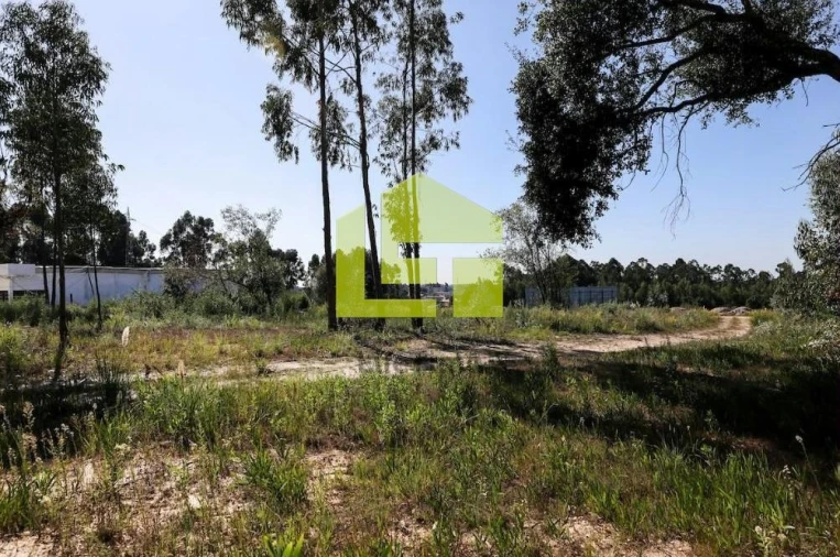 Terreno para Venda em Rio Meão Foto 3