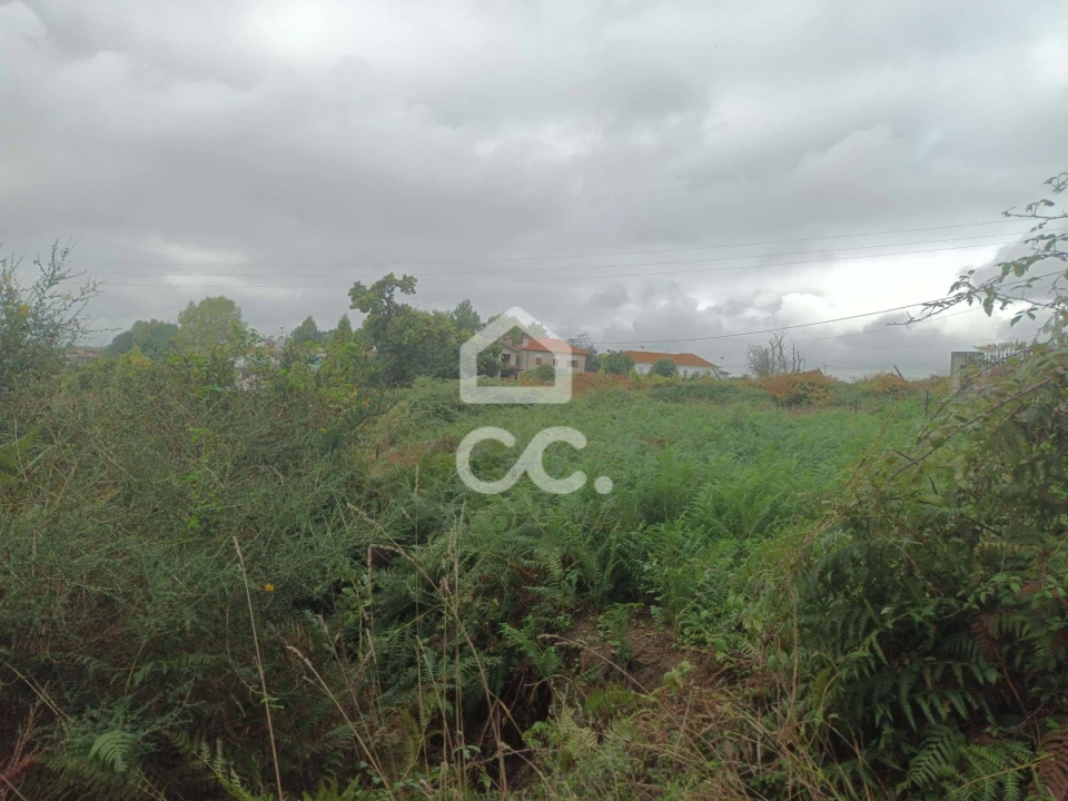 Terreno para Venda em Serzedelo Foto 3