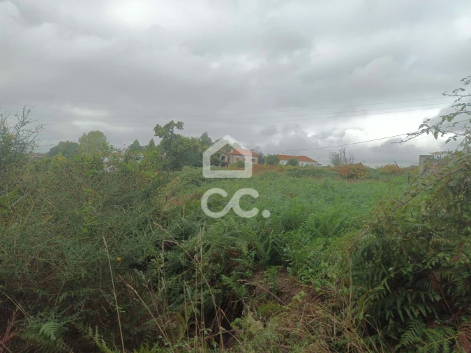 Terreno para Venda em Serzedelo Foto 3