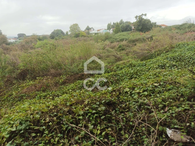 Terreno para Venda em Serzedelo Foto 2